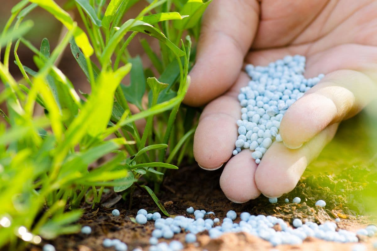 Konsultasi Gratis dengan Ahli Pertanian